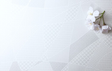 和柄と桜の白背景