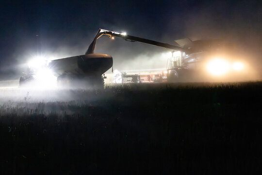 Combine harvester emptying canola into a chaser bin on farm at night