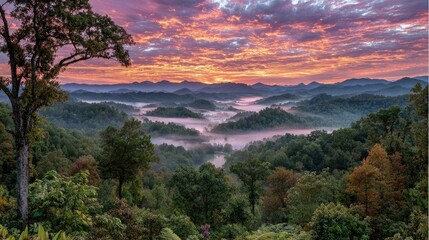 Misty mountain sunrise