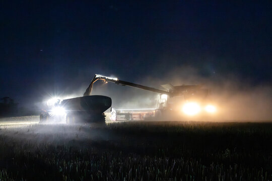 Harvester harvesting canola crop at night with chaser bin on farm