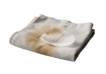 Extreme close-up of a pristine, transparent feather on a well-worn, stained off-white cotton kitchen rag with frayed edges, on transparent background, concept of purity versus decay