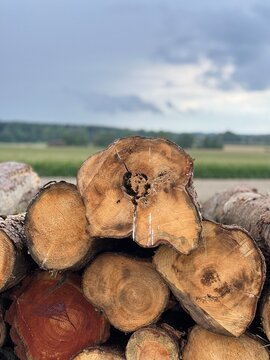 Holzernte auf dem Land &ndash; gestapelte Baumst&auml;mme vor Wolkenhimmel