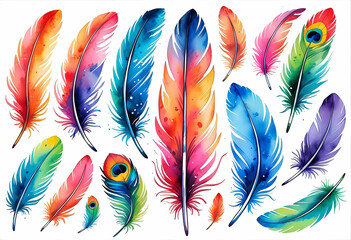 Obraz premium colorful feathers isolated on white