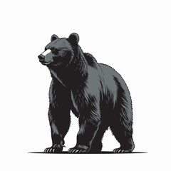 Obraz premium silhouette of bear