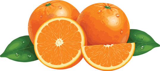 Fresh Juicy Orange Fruit with Slices and Green Leaves – Realistic Vector Illustration for Health, Lifestyle, and Food Designs