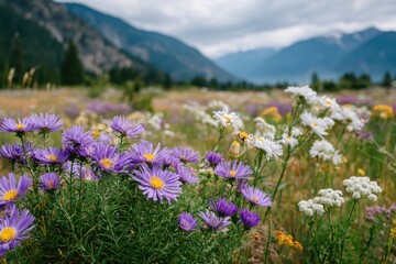 Fototapeta premium Vibrant Wildflowers Blooming in a Serene Meadow Landscape with Majestic Mountains in the Background Under a Cloudy Sky