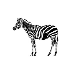 Naklejka premium Vector Striking zebra features bold black and white stripes.