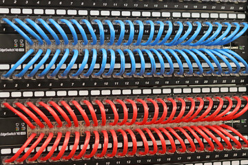 Fototapeta premium Connecting an Ethernet cable with an Rj45 connector to the equipment in the electrical control panel. 