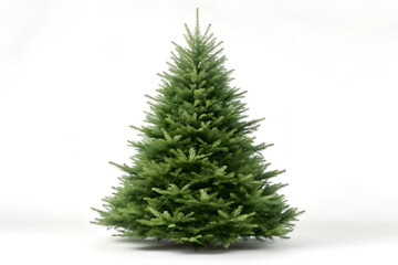Classic Green Fir Tree Isolated on White Background