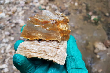 Geological sample of chalcedony on limestone rock, silicification of sedimentary rocks, field photo