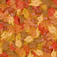 Autumn Leaves– Colorful Fall Leaves Background
