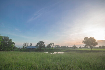 A serene rural landscape is shown with a green field, a small pond, and trees under a wide blue sky with a soft light.