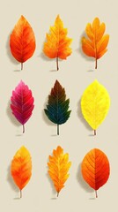 Obraz premium Autumn leaves in various colors arranged on a light background highlighting seasonal beauty and diversity