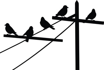  birds on power wires silhouette vector