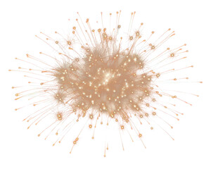 Obraz premium PNG Firework emitted fireworks outdoors night.