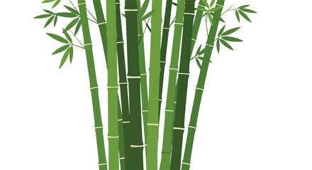 Obraz premium Graphic design with bamboo on white background for a Japanese-themed art