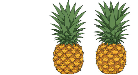 Fototapeta premium Two pineapples, isolated on white, for use in designs, patterns, or education