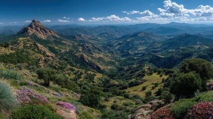 Panoramic mountain vista. Lush valleys, rugged peaks, and colorful wildflowers