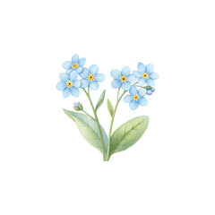 Fototapeta premium Delicate watercolor forget-me-nots bursting with vibrant blue petals and soft green leaves, perfect for elegant spring invitations and naturalistic designs.on white background
