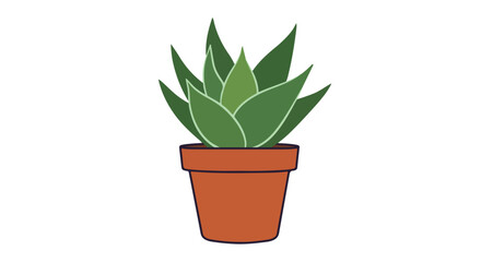 Potted aloe vera against white. Decor, posters, greeting cards usage