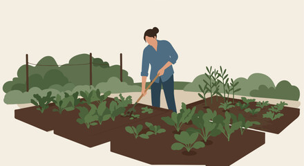 Gardener raking soil in garden with leafy green crops, shrubs in background
