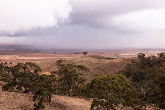 Rain clouds building up over drought affected fields, Clare Valley, South Australia