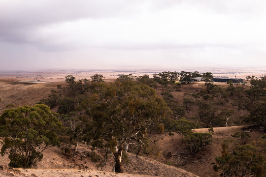 Rain clouds building up over drought affected fields, Clare Valley, South Australia