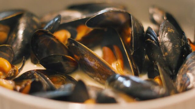 Bowl of Delicious Seafood Mussels in Bowl wth Steaming Hot White Wine Sauce. Tasty Fresh Mollusk Shellfish from Sea Ready to be Eaten.