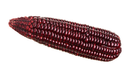Fresh Purple corn isolated on white background, with clipping path   