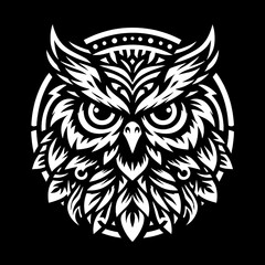 Fototapeta premium owl on a white background