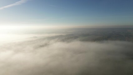 Mystical autumn forest in dense morning mist