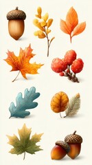 Collection of autumn leaves, acorns, and berries displayed in warm autumn colors