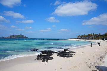 fine sea view with coast line and island