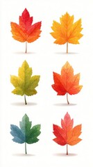 Fototapeta premium Colorful autumn maple leaves displayed in various shades and patterns, showcasing the beauty of fall foliage