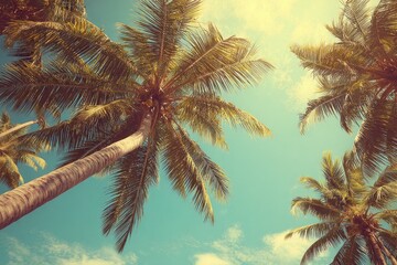 Tropical palm trees against a vibrant sky