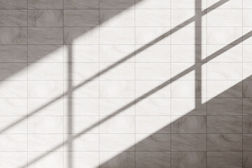 Shadow Texture on Concrete Wall with Sunlight. Minimal Abstract Background. 3d rendering.