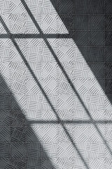 Shadow Texture on Concrete Wall with Sunlight. Minimal Abstract Background. 3d rendering.