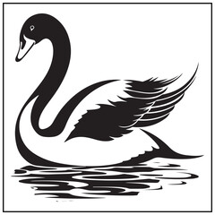Obraz premium Vector art of black swan swimming on water isolated on white background