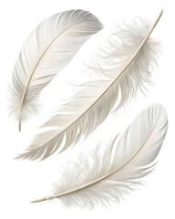 white feather collection isolated on transparent background © mansukon