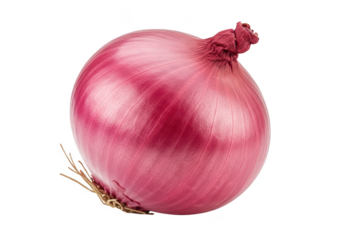 Single red onion isolated on transparent background