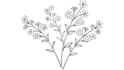 Illustration of a floral arrangement with several stems and small outlined flowers in a simple style