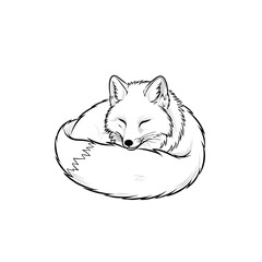 Elegant Arctic Fox Logo in Resting Pose, Curled Tail Around the Body, Line Art Design