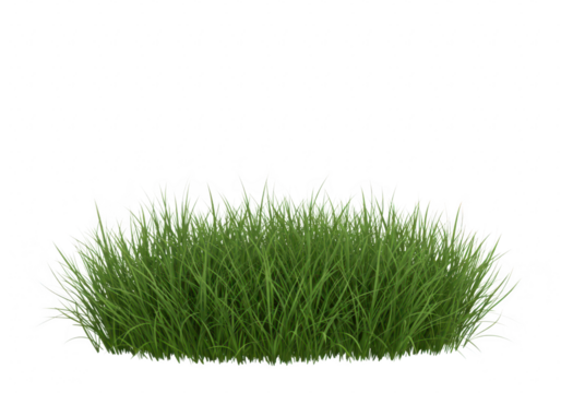 A lush clump of green grass isolated on a transparent background