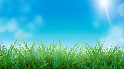 Green lawn and blue sky image