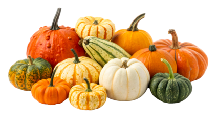 Colorful pumpkins on clear background