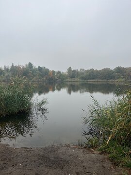 morning on the lake