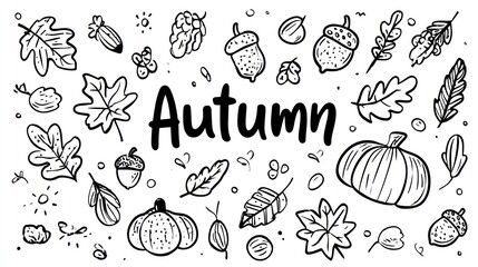Fototapeta premium Line art of autumn foliage, pumpkins, acorns, and the word 