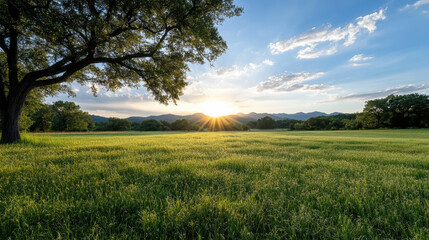 Obraz premium Sunset over tranquil countryside field with vibrant green grass and distant mountains