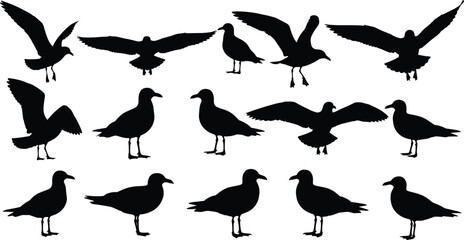 Bird silhouettes in flying, standing, perched poses, black minimal illustrations, avian posture collection, animal movement art, wildlife reference pack