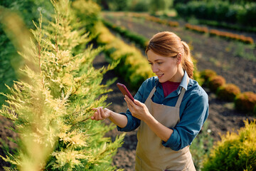 Happy worker using app on smart phone while examining trees at nursery.